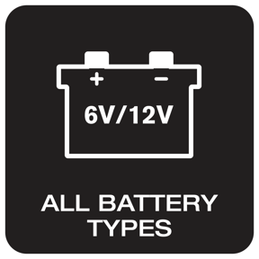 6V / 12V compatible