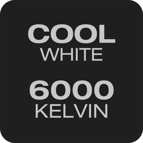 6000K & Cool White