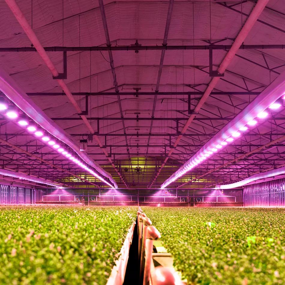 Wirelessly powered multi-spectral light sensor solutions for vertical farming and controlled-environment Agriculture, AS7343 spectral sensor