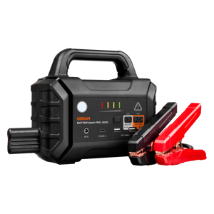 zdj2