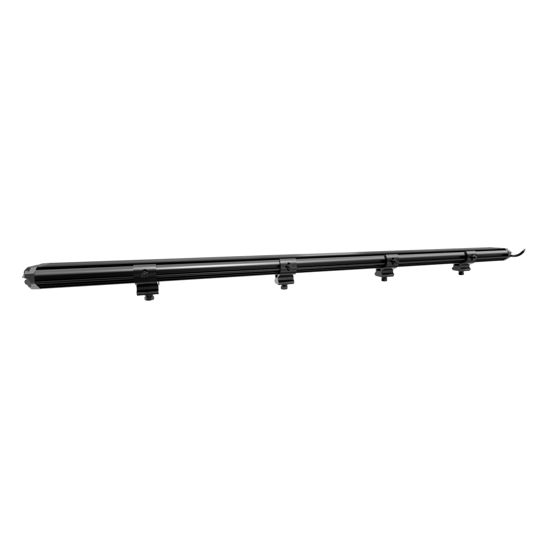 zdj6