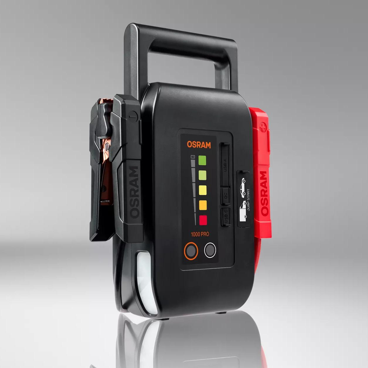 zdj8