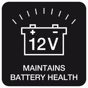 Monocrystalline solar cells, providing up to 10W of power